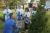 4-22-10-planttree