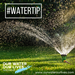 Sprinkler_graphic_2