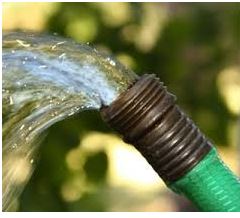 Garden_hose_pic