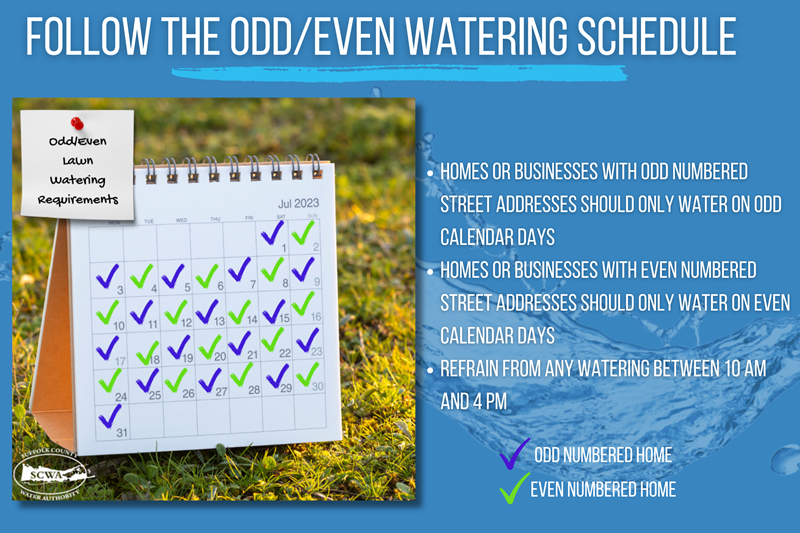 Follow_the_OddEven_Watering_Schedule