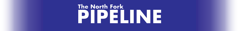 NFP_Banner_(4)