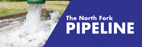 NFP_Banner_(1)