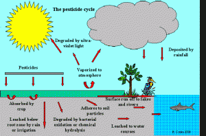 Pesticides